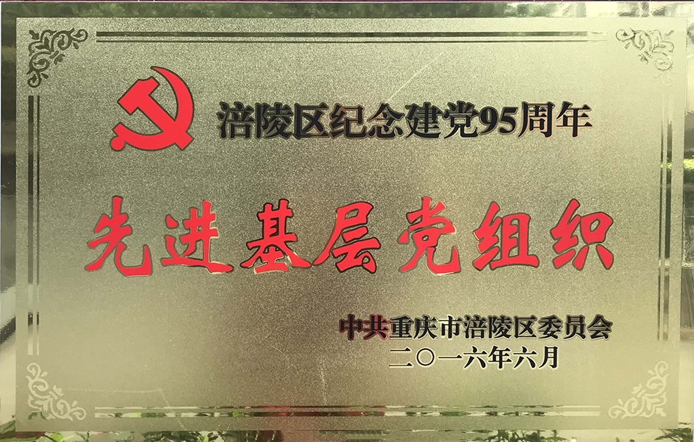 16-涪陵區先進基層黨組織.jpg